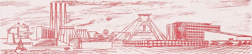 Die Linke Salzgitter Banner